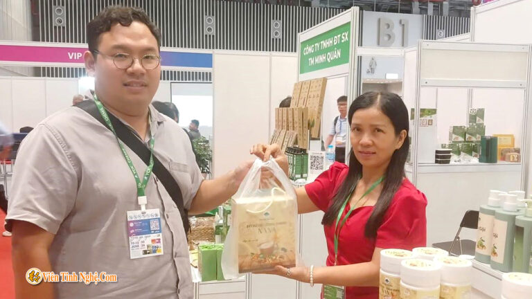 Ngu Coc Nana Chinh Hang Mua O Dau Cach Chon Dung Noi Tranh Hang Gia